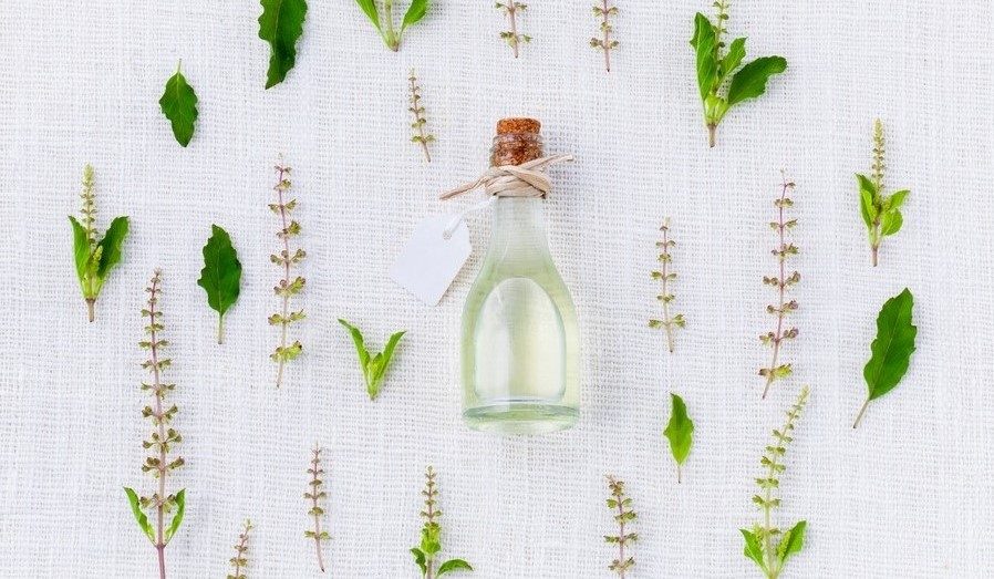 Tea tree essential oil for skin in a small bottle