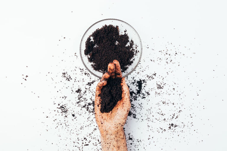 Complete Coffee Scrub Guide How to Use It on Body and Face DIY