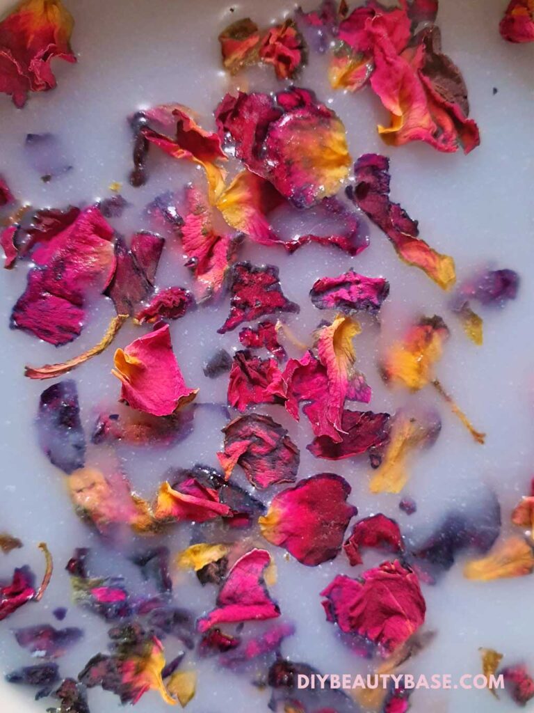 rose petals in homemade milk bath soak