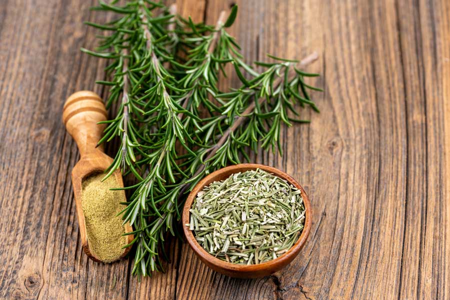 dried and fresh rosemary